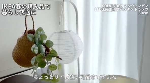 ランプを飾った部屋