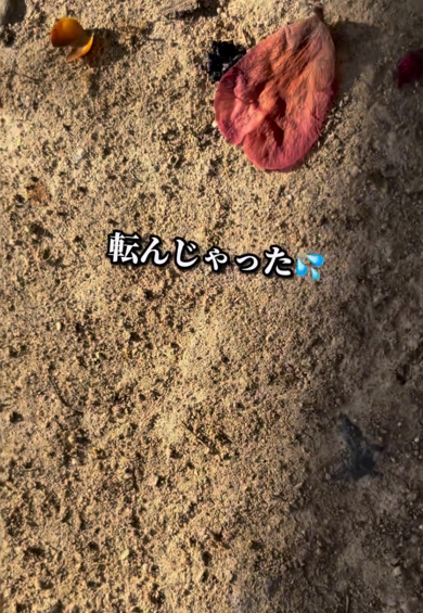 転んでしまう園児