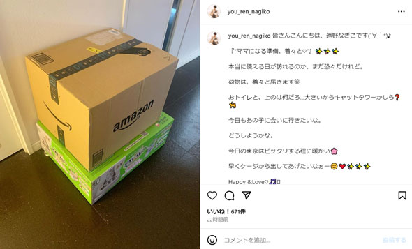 遠野なぎこInstagram