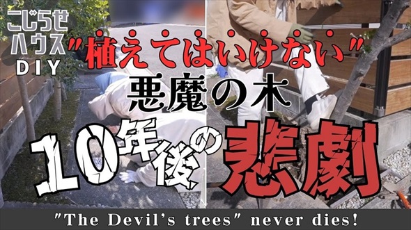 おすすめ