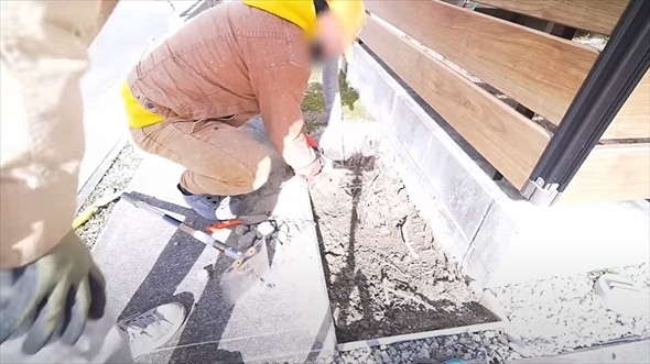 植えてはいけない悪魔の木