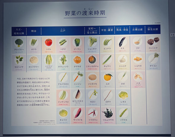 野菜の渡来時期