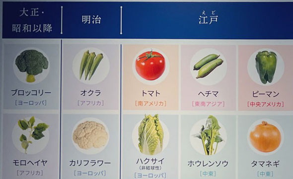 野菜の渡来時期