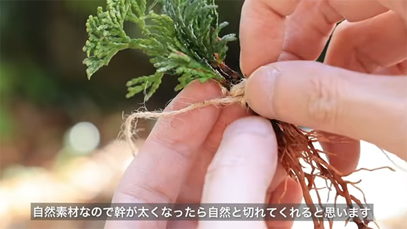 自然素材なので