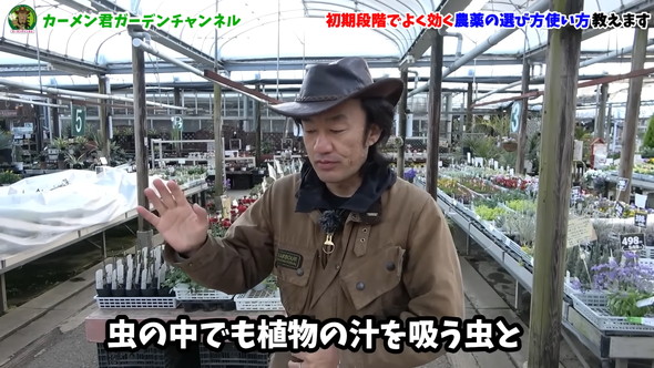 害虫対策の解説