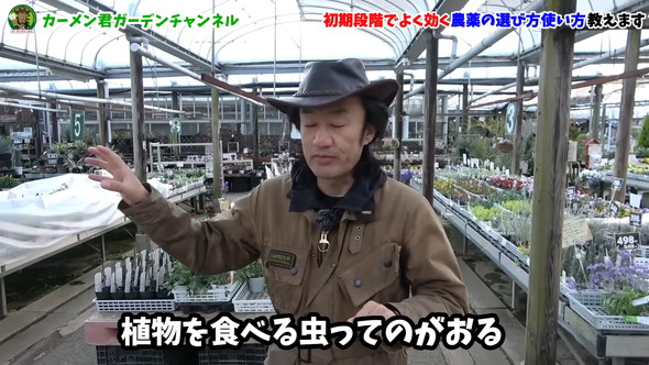 害虫対策の解説