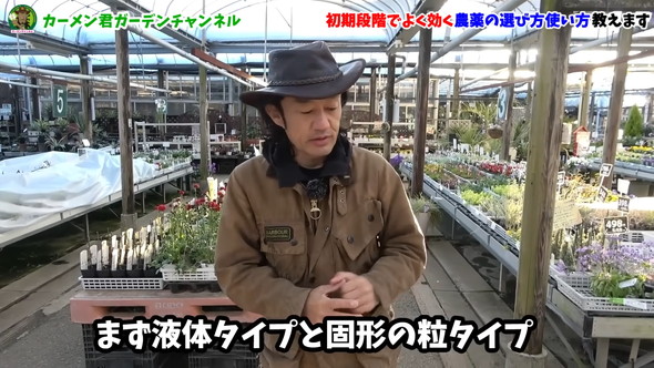 害虫対策の解説