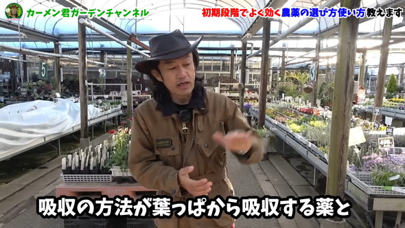 害虫対策の解説