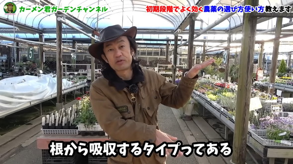 害虫対策の解説