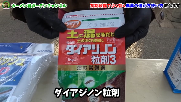 害虫対策の解説