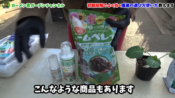 害虫対策の解説