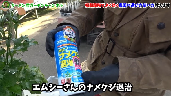 害虫対策の解説