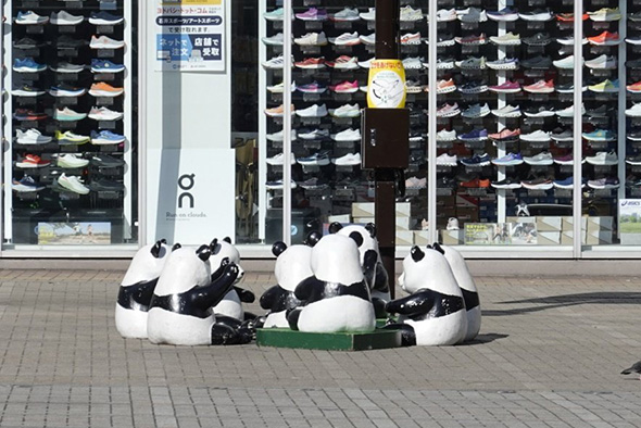 ある日のパンダたち