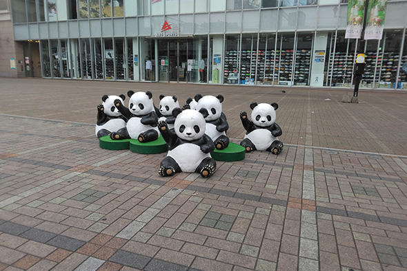 移動している……