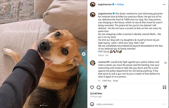 アンジー・ハーモン