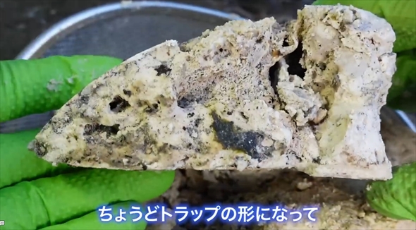 油詰まり　掃除　水道メンテナンス