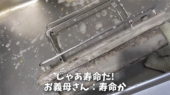 スポンジラック