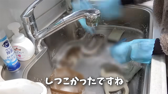 しつこかったですね