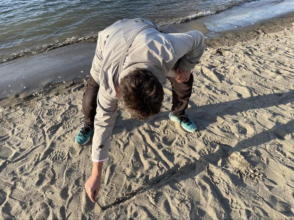 【PR】 paiza 初恋プログラミング研究会