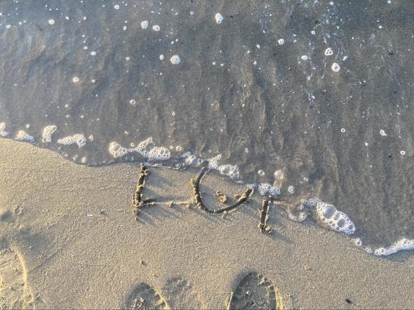 【PR】 paiza 初恋プログラミング研究会