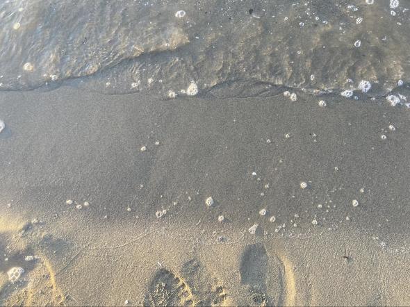 【PR】 paiza 初恋プログラミング研究会