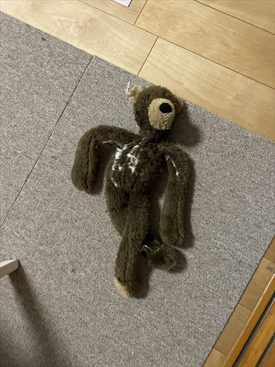 ぬいぐるみ　犬　ポーズ