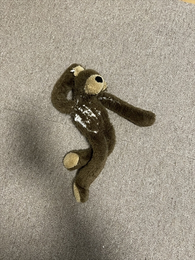 ぬいぐるみ　犬　ポーズ