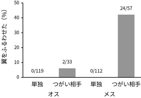 シジュウカラ ジェスチャー 鳥 翼 パタパタ 世界初 発見 お先にどうぞ
