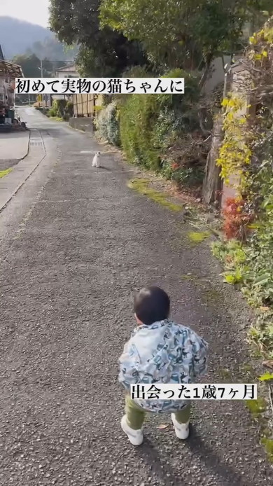 初めて実物の猫ちゃんと出会った1歳の男の子