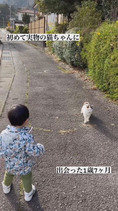 初めて実物の猫ちゃんと出会った1歳の男の子