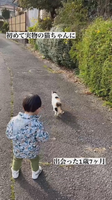 初めて実物の猫ちゃんと出会った1歳の男の子