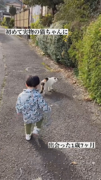 初めて実物の猫ちゃんと出会った1歳の男の子