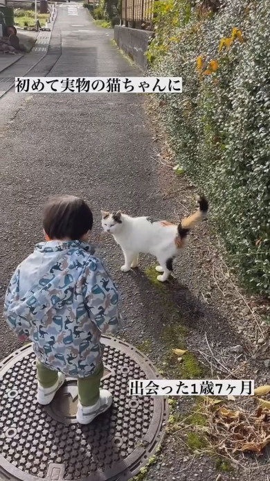 初めて実物の猫ちゃんと出会った1歳の男の子