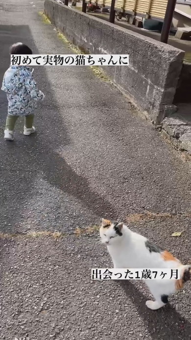 初めて実物の猫ちゃんと出会った1歳の男の子
