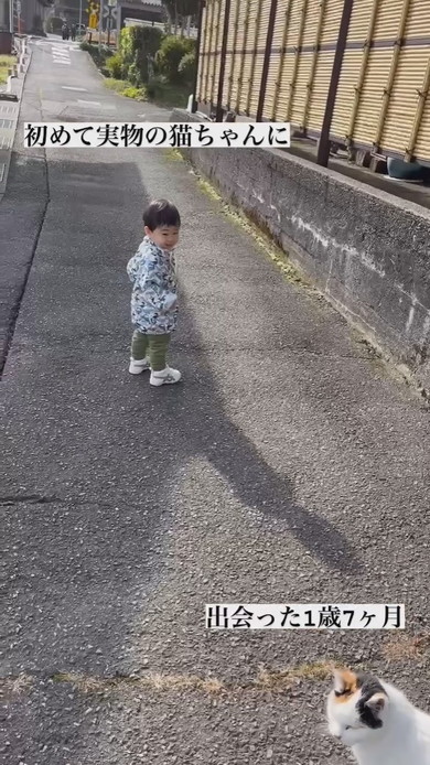 初めて実物の猫ちゃんと出会った1歳の男の子