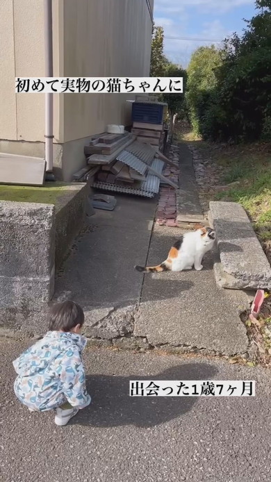 初めて実物の猫ちゃんと出会った1歳の男の子
