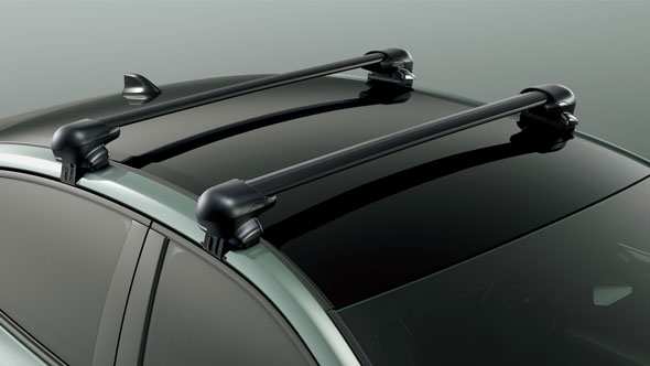 特別仕様車「RS “LANDSCAPE”」