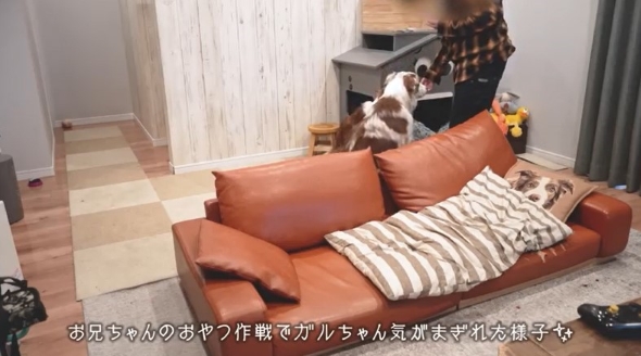 おやつを食べるワンコ