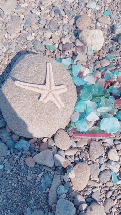 大雨の翌日のビーチで見つけたシーグラス