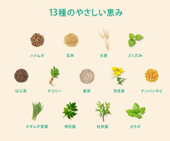 爽健美茶