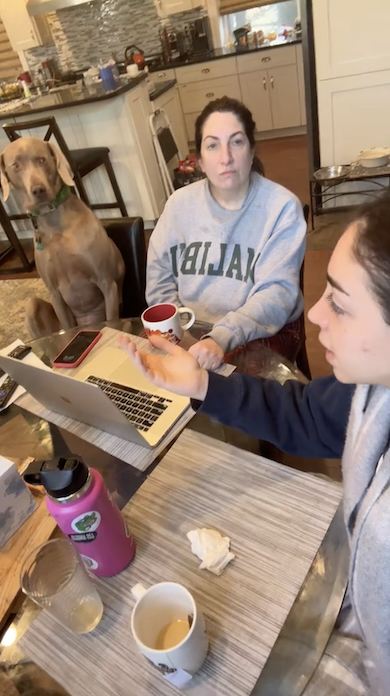 テーブルを囲む犬