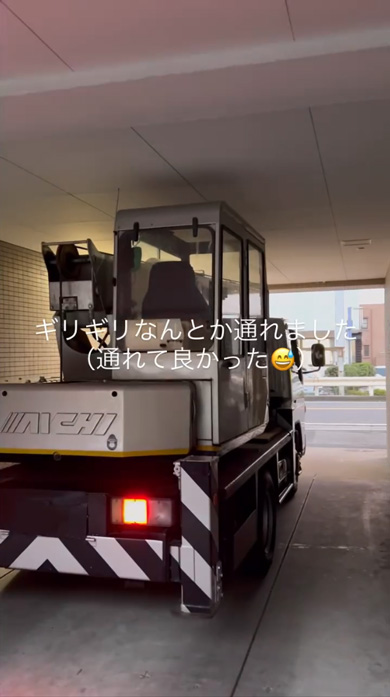 狭い 場所 搬出 木 クスノキ 特殊 伐採 3トンレッカー クレーン プロ 作業 陽庭