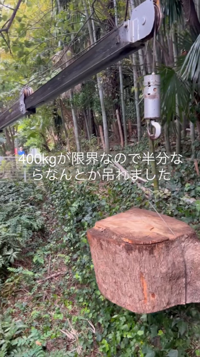 狭い 場所 搬出 木 クスノキ 特殊 伐採 3トンレッカー クレーン プロ 作業 陽庭