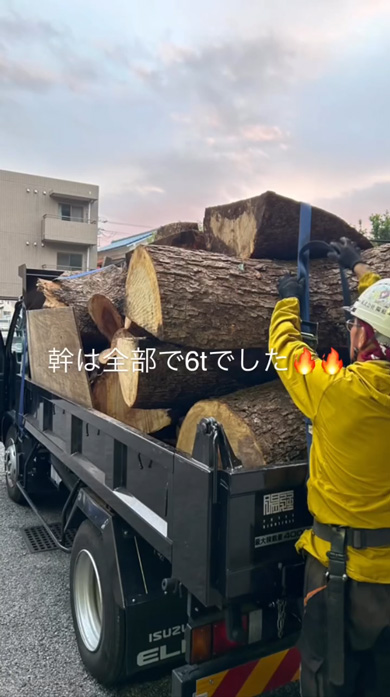 狭い 場所 搬出 木 クスノキ 特殊 伐採 3トンレッカー クレーン プロ 作業 陽庭