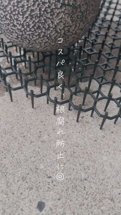 鉢植えの水切りには猫よけマットが便利