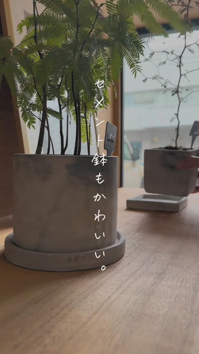 鉢植えの水切りには猫よけマットが便利