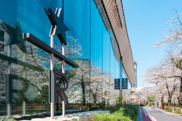 スタバ 中目黒 桜 花見
