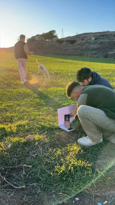 トリック写真　ネタバレ