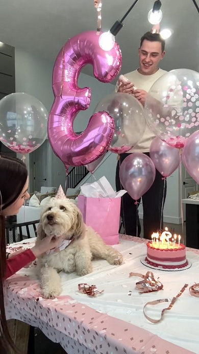 3歳の誕生日を迎えた飼い犬を囲んでお祝いする夫婦