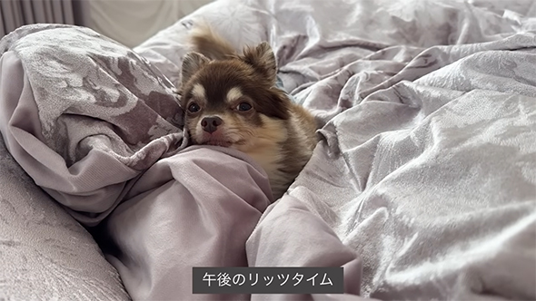 午後のリッツタイム